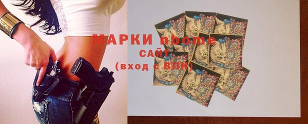 амф Няндома